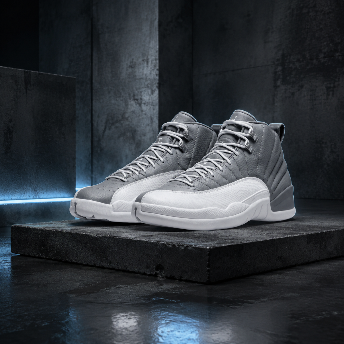 Air Jordan 12 Stealth sneakers on a dark concrete campaign set