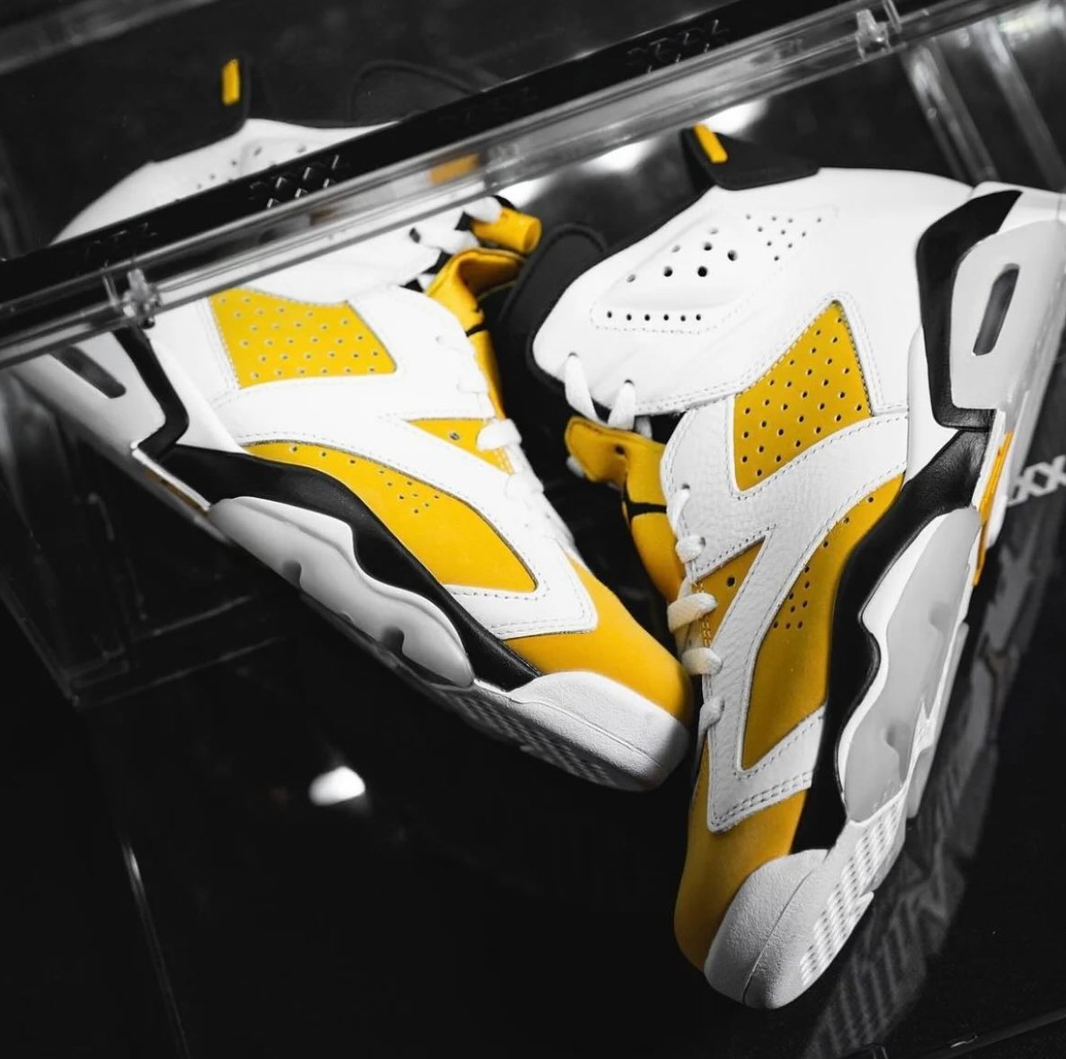 Air Jordan 6 Retro Yellow Ochre Collection - Rebranded Studios