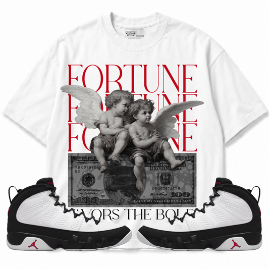 Fortune Favors The Bold (Air Jordan 9 OG Space Jam) T-Shirt with matching sneakers