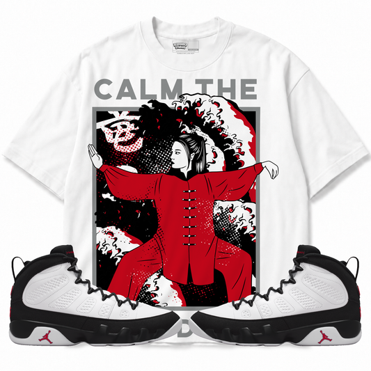 Calm TF Down (Air Jordan 9 OG Space Jam) T-Shirt with matching sneakers