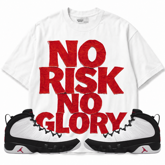 No Risk No Glory (Air Jordan 9 OG Space Jam) T-Shirt with matching sneakers