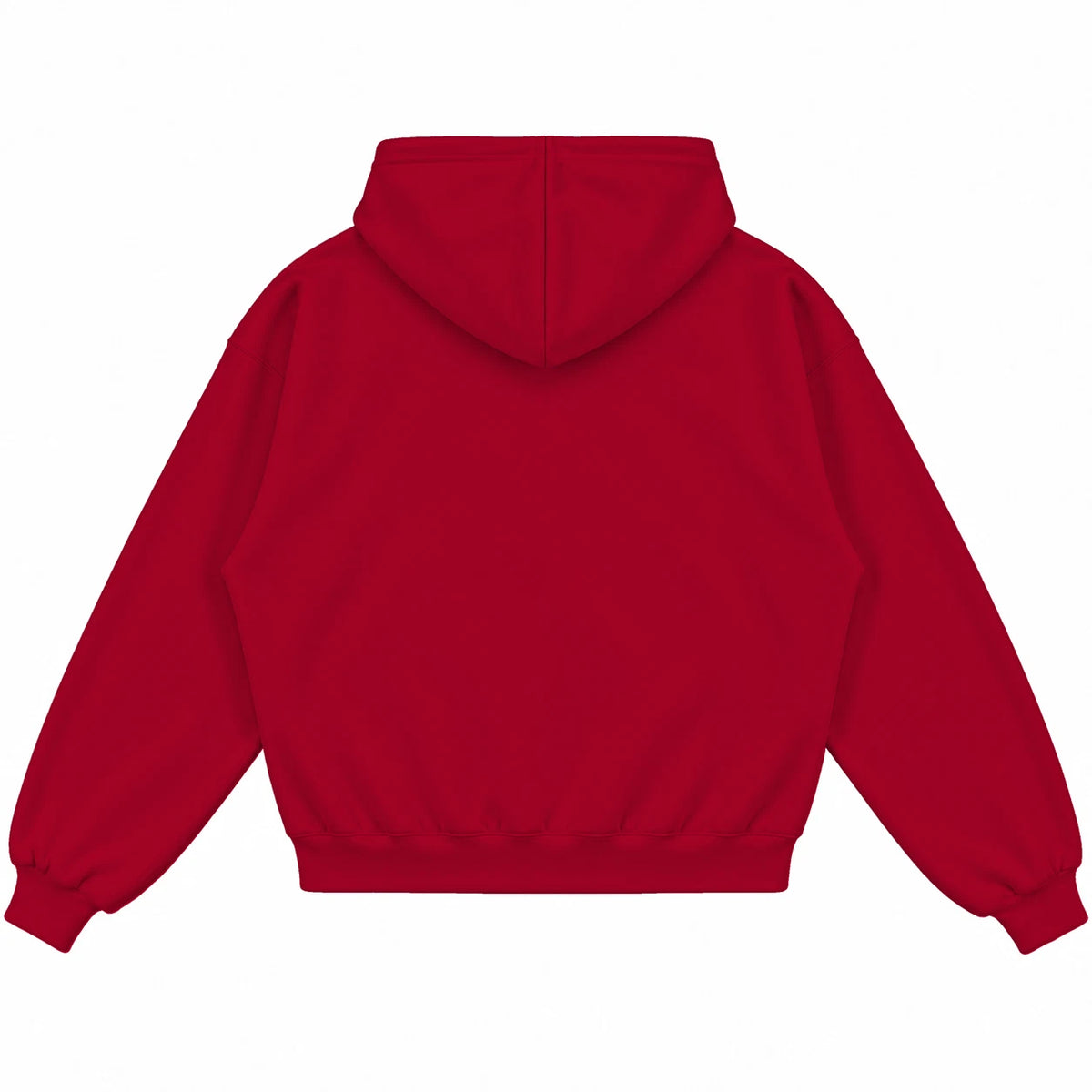 Rebranded Studios hoodie — back view without sneakers